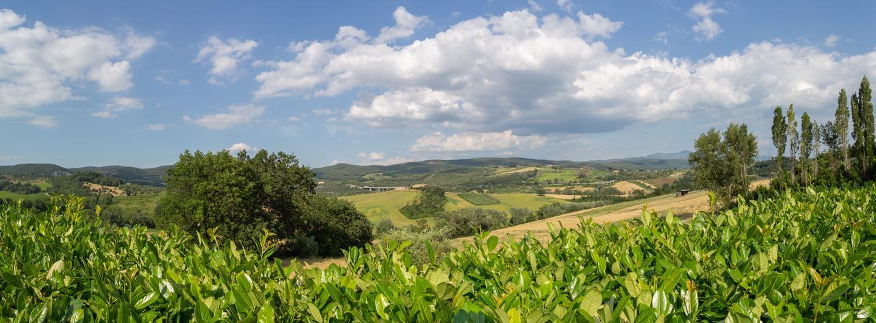 Agriturismo Dei Casali Amelia Exteriör bild